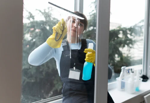 Nettoyage de vitres intérieures et extérieures à Saint-Jean-Lachalm